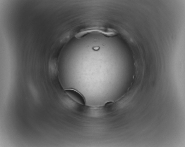 X0000113900240200910011349