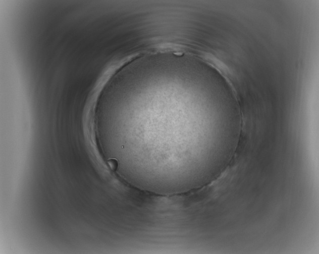 X0000113900241200910011348