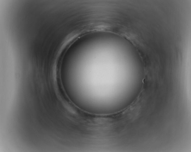 X0000113900242200910011348