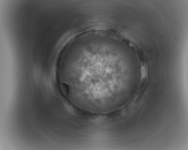 X0000113900243200910011348