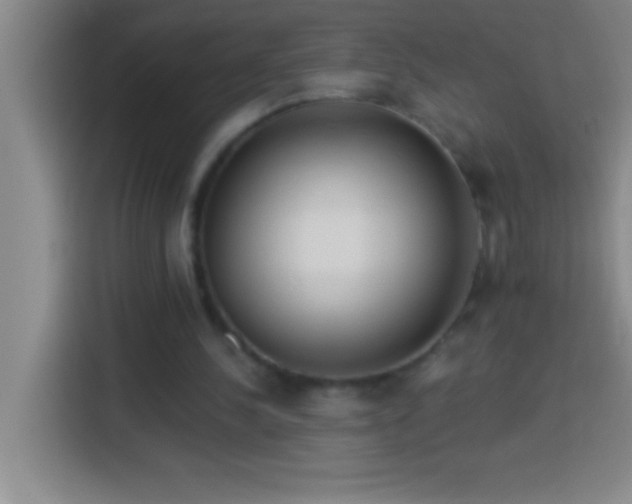 X0000113900244200910011348