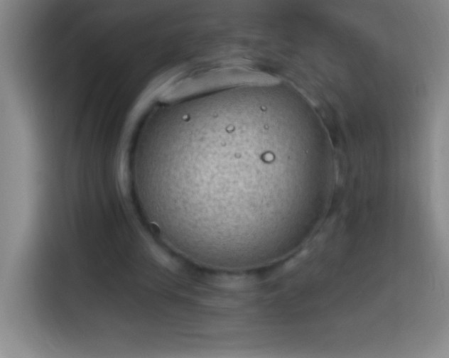 X0000113900245200910011348