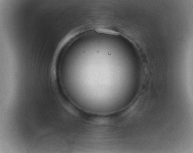 X0000113900246200910011348