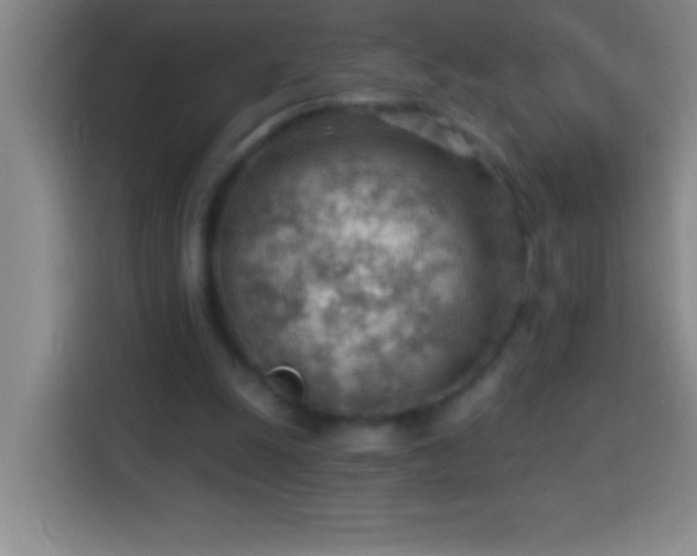 X0000113900247200910011348