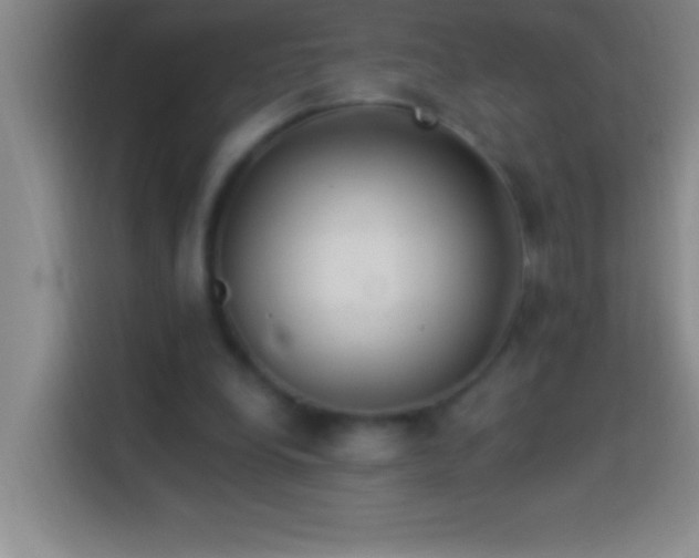 X0000113900248200910011348