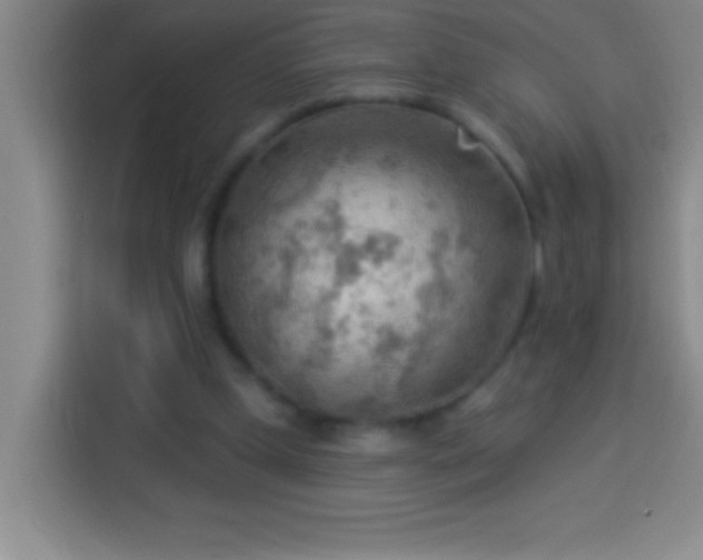 X0000113900249200910011348