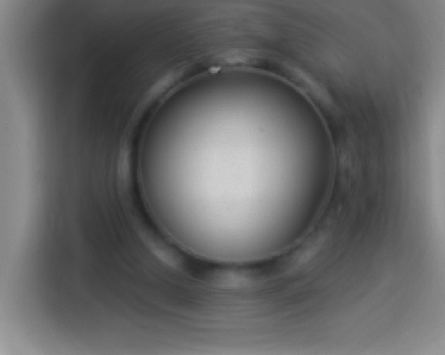 X0000113900250200910011348