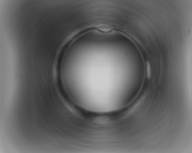 X0000113900252200910011348