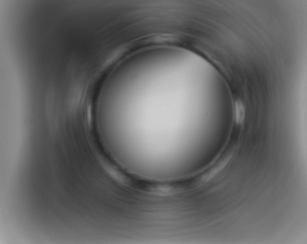 X0000113900253200910011348