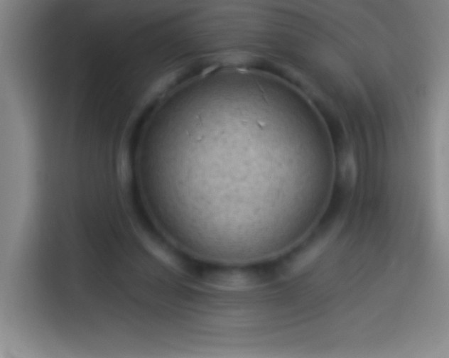 X0000113900254200910011348