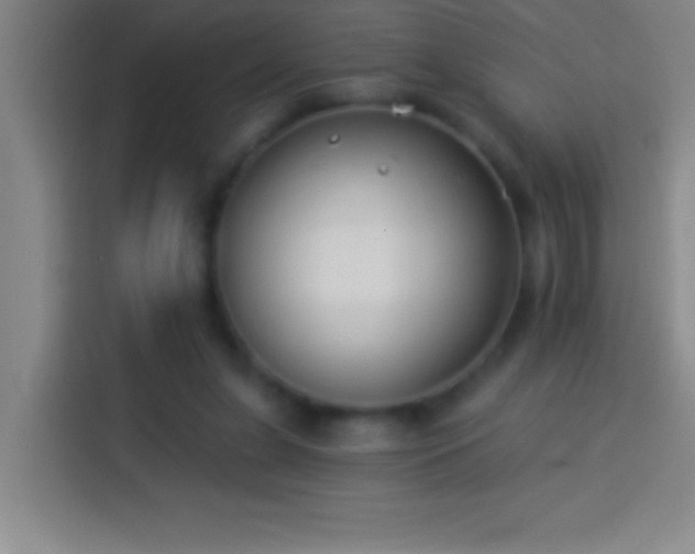 X0000113900255200910011348