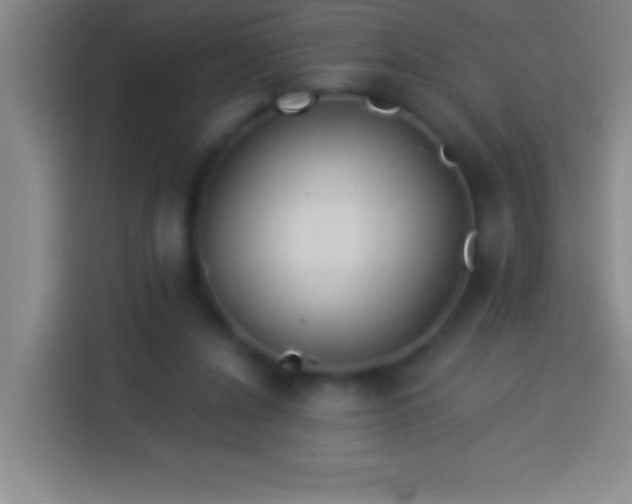 X0000113900256200910011348