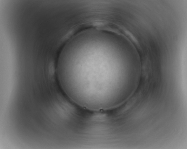 X0000113900257200910011348