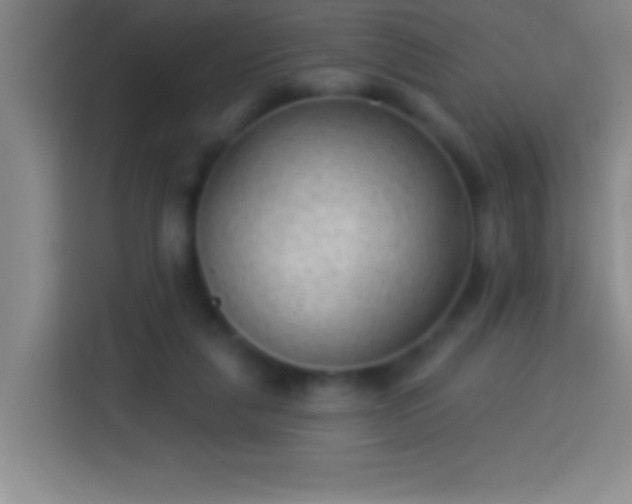 X0000113900259200910011348