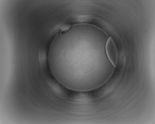 X0000113900260200910011348