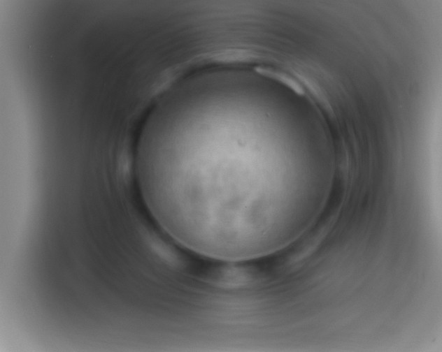 X0000113900261200910011348