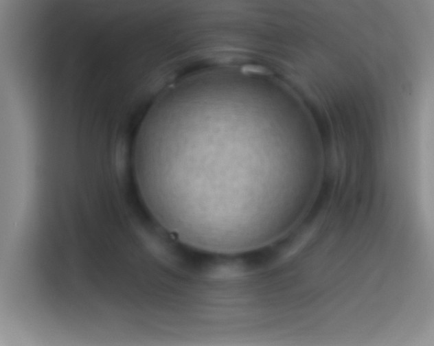 X0000113900263200910011348