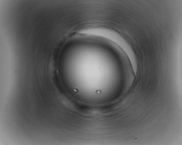 X0000113900264200910011348