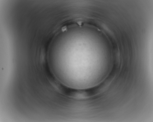 X0000113900266200910011348