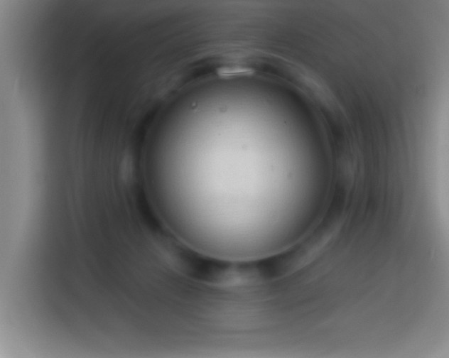 X0000113900270200910011348