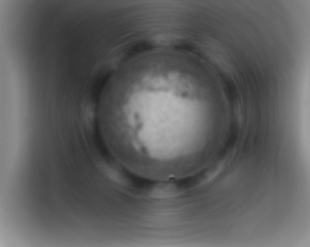 X0000113900271200910011349