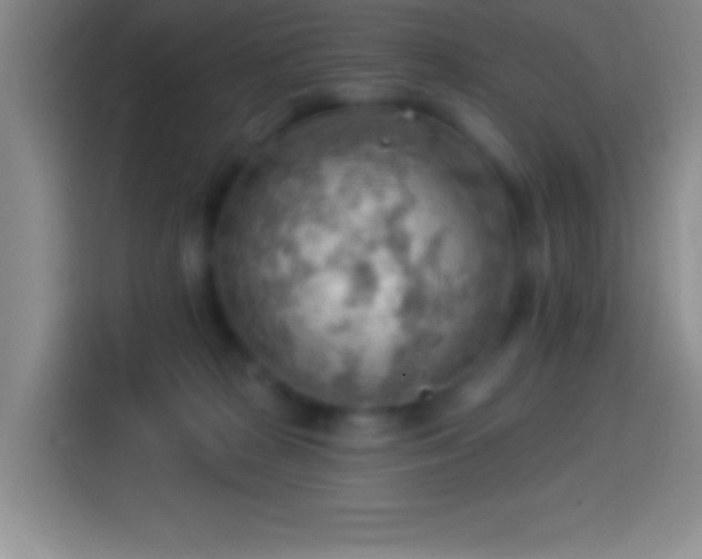 X0000113900277200910011349