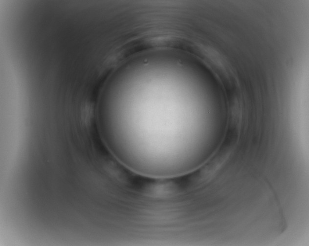 X0000113900278200910011349