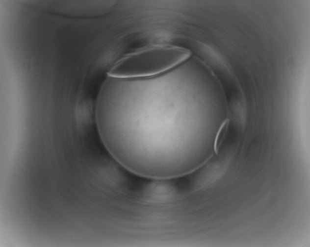 X0000113900280200910011349