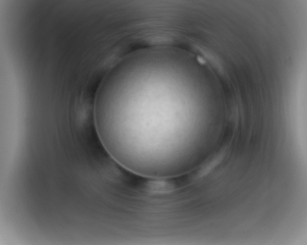 X0000113900281200910011349