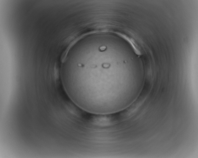 X0000113900282200910011349