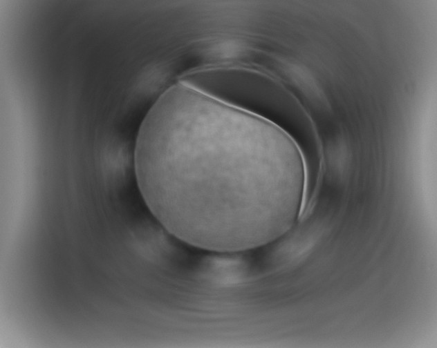 X0000113900284200910011349