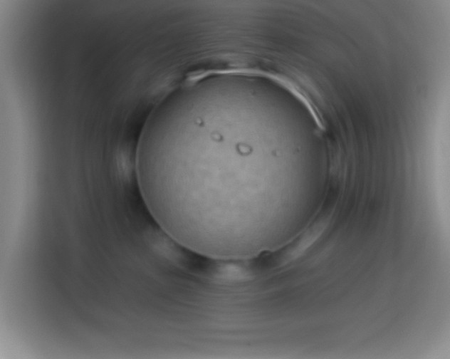 X0000113900285200910011349