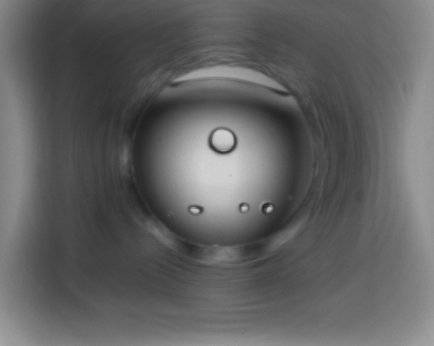 X0000113900288200910011349