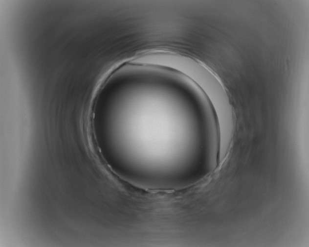 X0000113900289200910011348