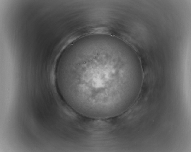 X0000113900290200910011348