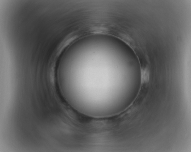 X0000113900291200910011348