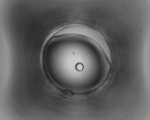 X0000113900292200910011348