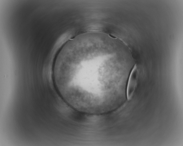 X0000113900293200910011348