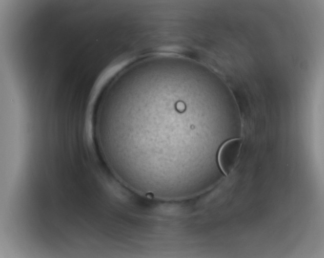 X0000113900294200910011348