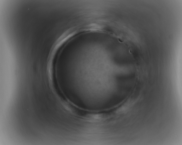 X0000113900295200910011348