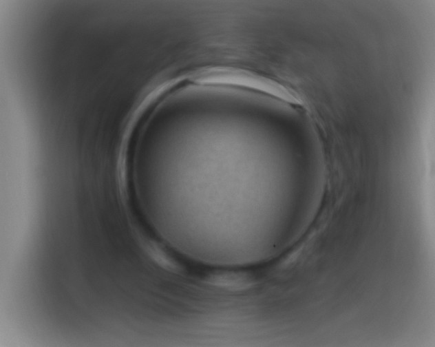 X0000113900296200910011348