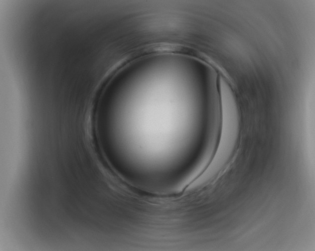 X0000113900297200910011348