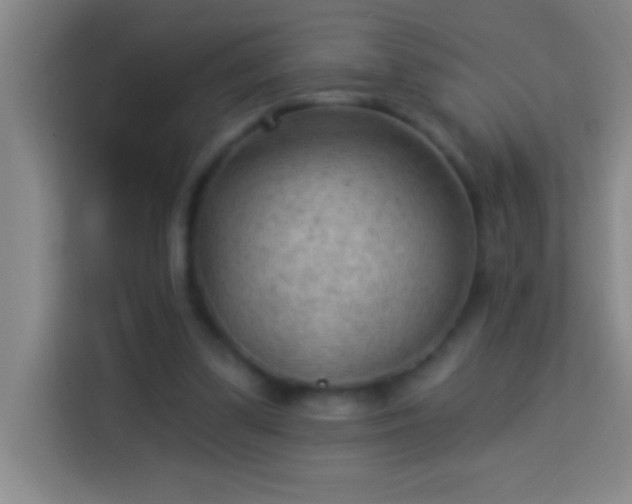 X0000113900299200910011348