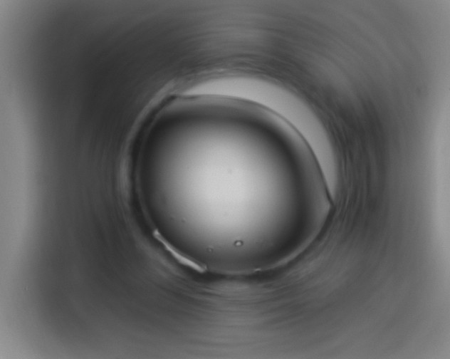 X0000113900300200910011348