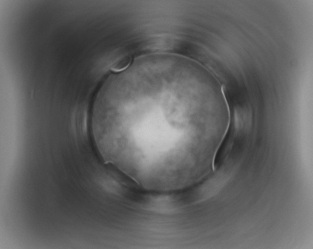 X0000113900301200910011348