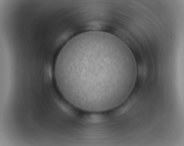 X0000113900302200910011348