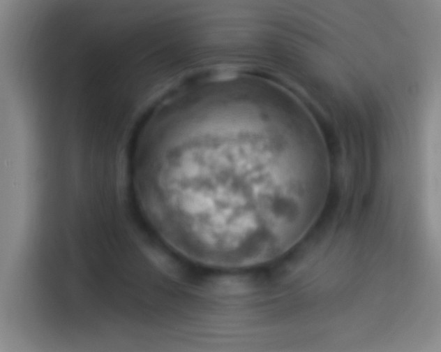 X0000113900303200910011348