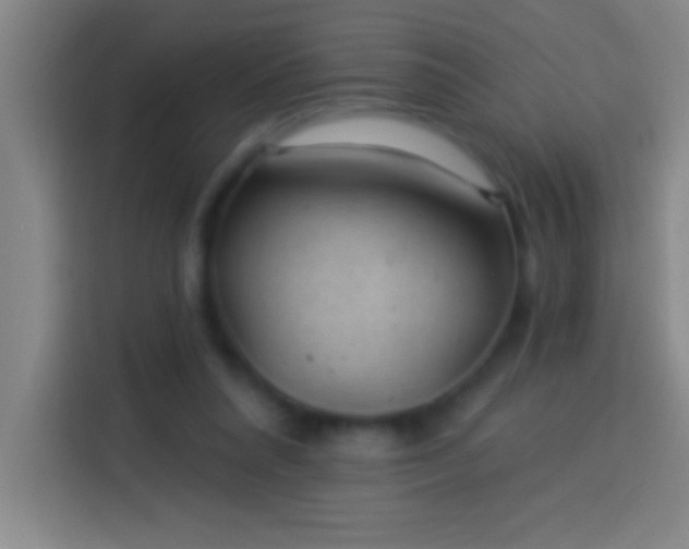 X0000113900304200910011348