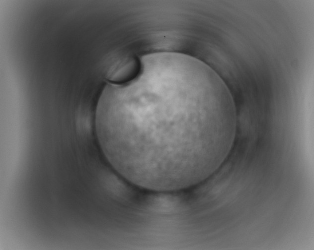 X0000113900305200910011348