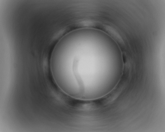 X0000113900306200910011348